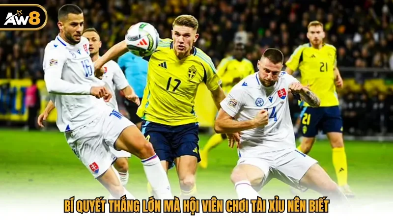 Bí quyết thắng lớn mà hội viên chơi tài xỉu nên biết