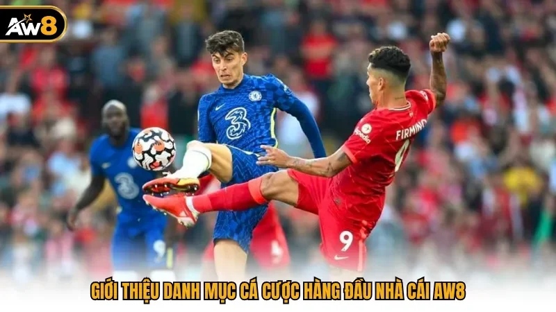 Giới thiệu danh mục cá cược hàng đầu nhà cái AW8