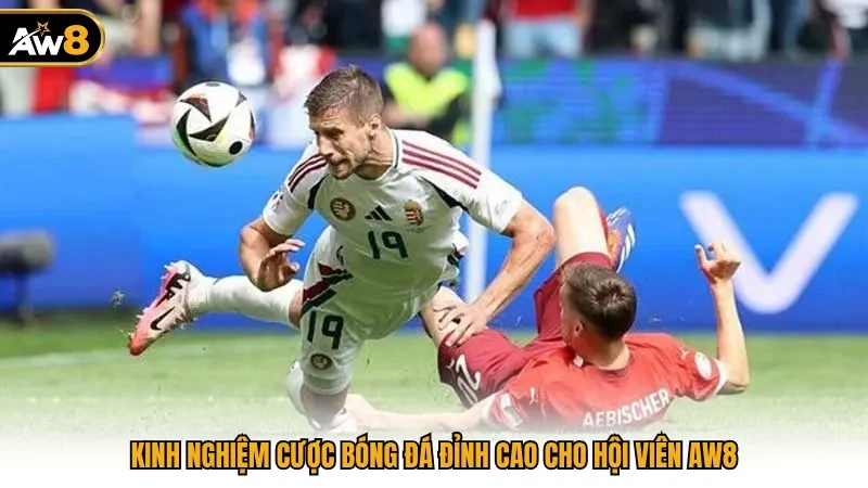 Kinh nghiệm cược bóng đá đỉnh cao cho hội viên AW8