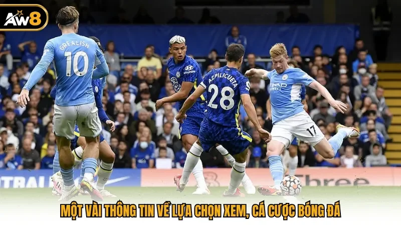 Một vài thông tin về lựa chọn xem, cá cược bóng đá