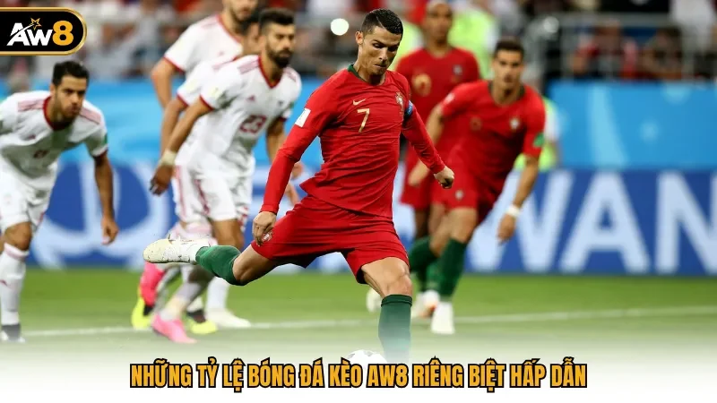 Những tỷ lệ bóng đá kèo AW8 riêng biệt hấp dẫn